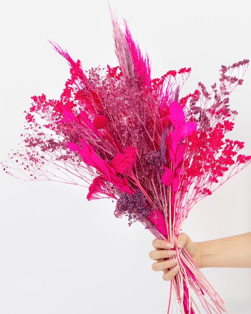 A vibrant bouquet of pink and purple dried flowers held by a person against a white background, showcasing various textures and shades within the floral arrangement.