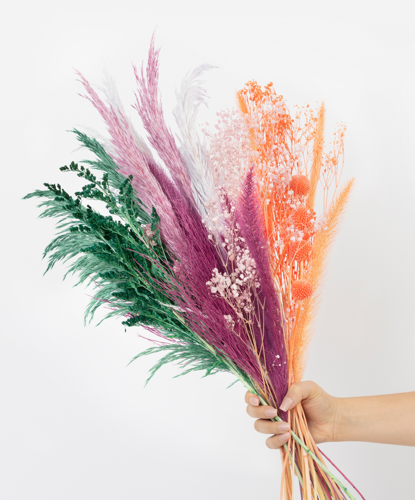 Vibrant dried flower bouquet featuring pampas grass and colorful blooms held by a hand.