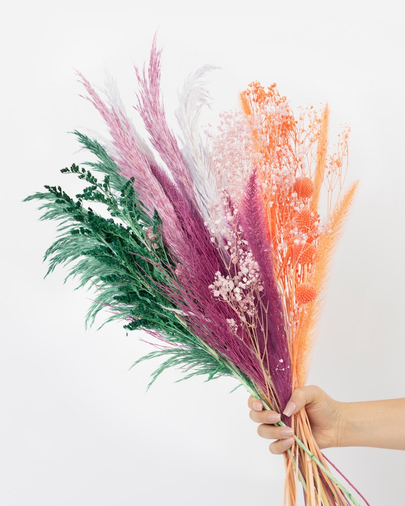 Person holding a vibrant bouquet of dried pampas grass and flowers in pastel shades of green, purple, orange, and white against a clean white background.