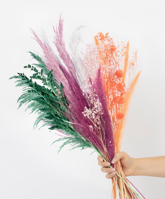 Vibrant dried flower bouquet featuring pampas grass and colorful blooms held by a hand.