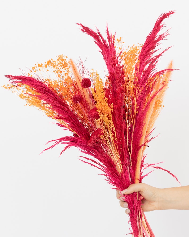 Person holding a vibrant bouquet of dried flowers with deep red and bright orange hues against a clean white background.