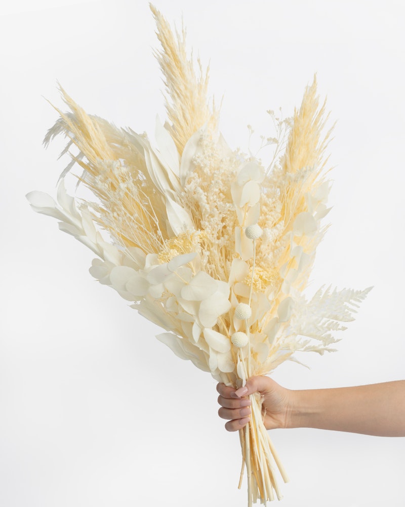 Hand holding a bouquet of dried flowers and foliage in neutral tones, featuring pampas grass, ferns, and white leaves against a clean white background.