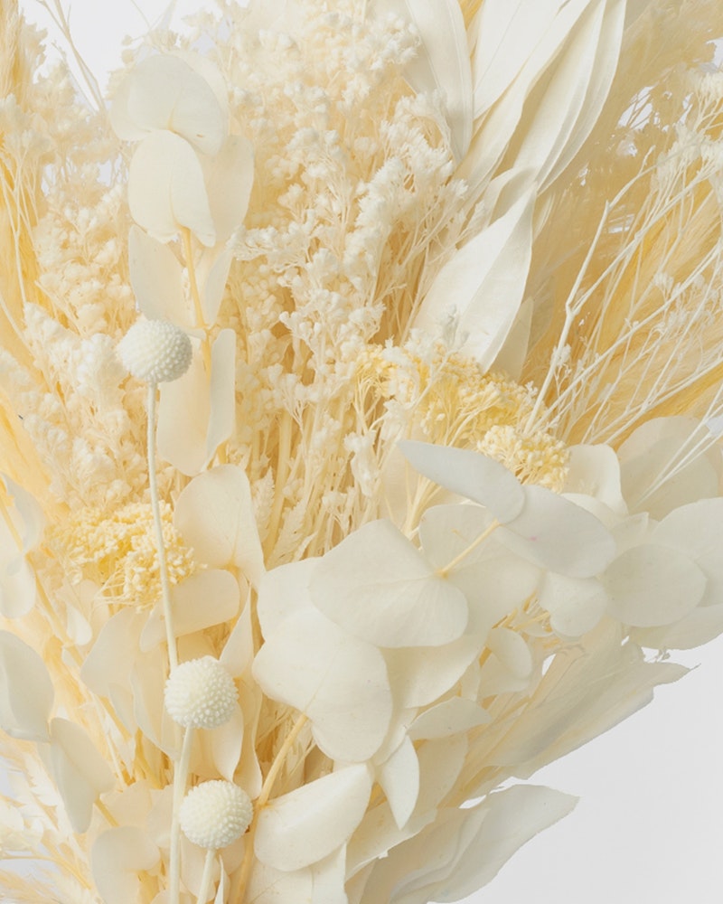 Close-up view of a delicate dried floral arrangement with various textures, featuring shades of cream and white, including subtle accents of pale yellow.