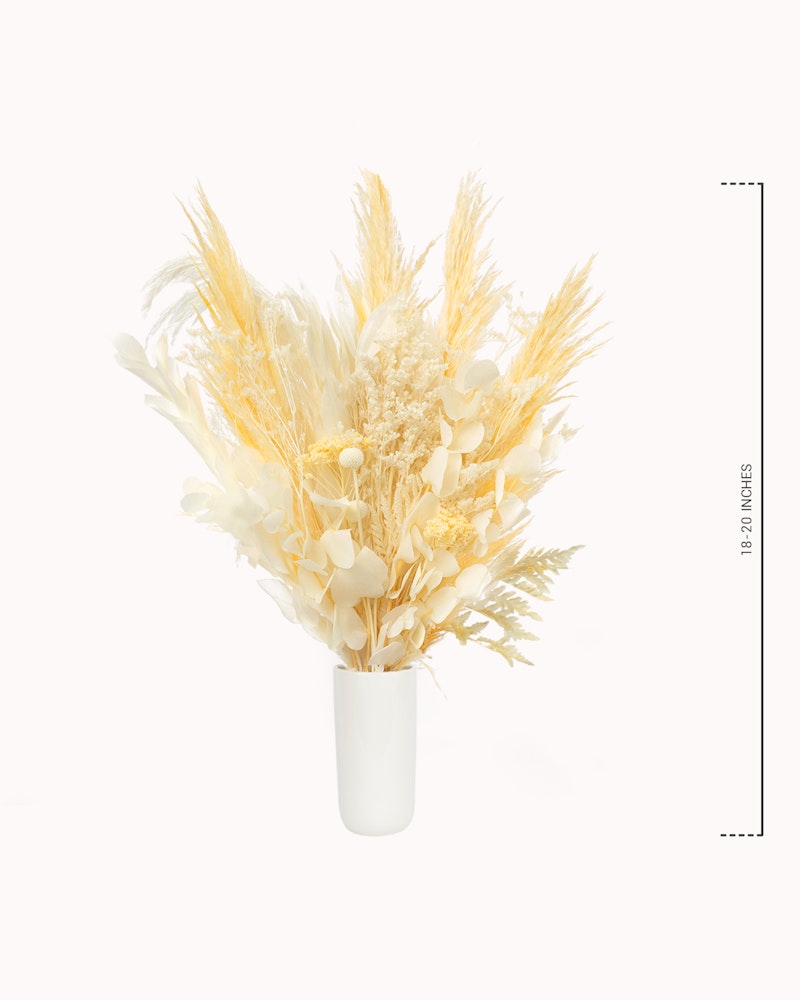 Elegant bouquet of dried pampas grass and white flowers in a modern white vase against a clean white background, with scale measurements on the side.