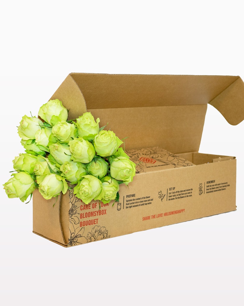 Bright green roses arranged in a cardboard Bloomsbox, which is partially open, against a neutral background, with care instructions visible on the box.