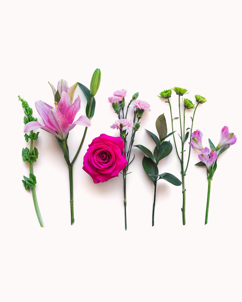 A vibrant assortment of flowers laid out on a white background, including a pink lily, delicate pink carnations, a bold purple rose, greenery, and light purple alstroemeria.