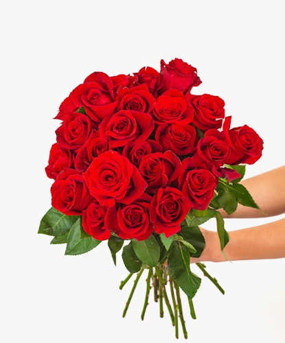 Vibrant bouquet of red roses held by hands, showcasing a classic floral gift.