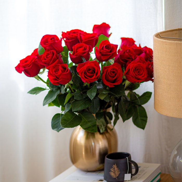 splendid-red-roses