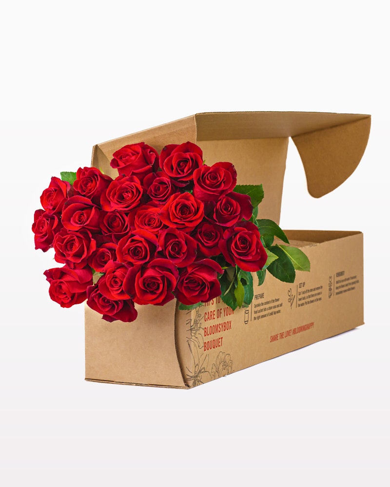 Vibrant bouquet of fresh red roses elegantly presented in an open brown cardboard box with care instructions printed on the side, isolated on a white background.