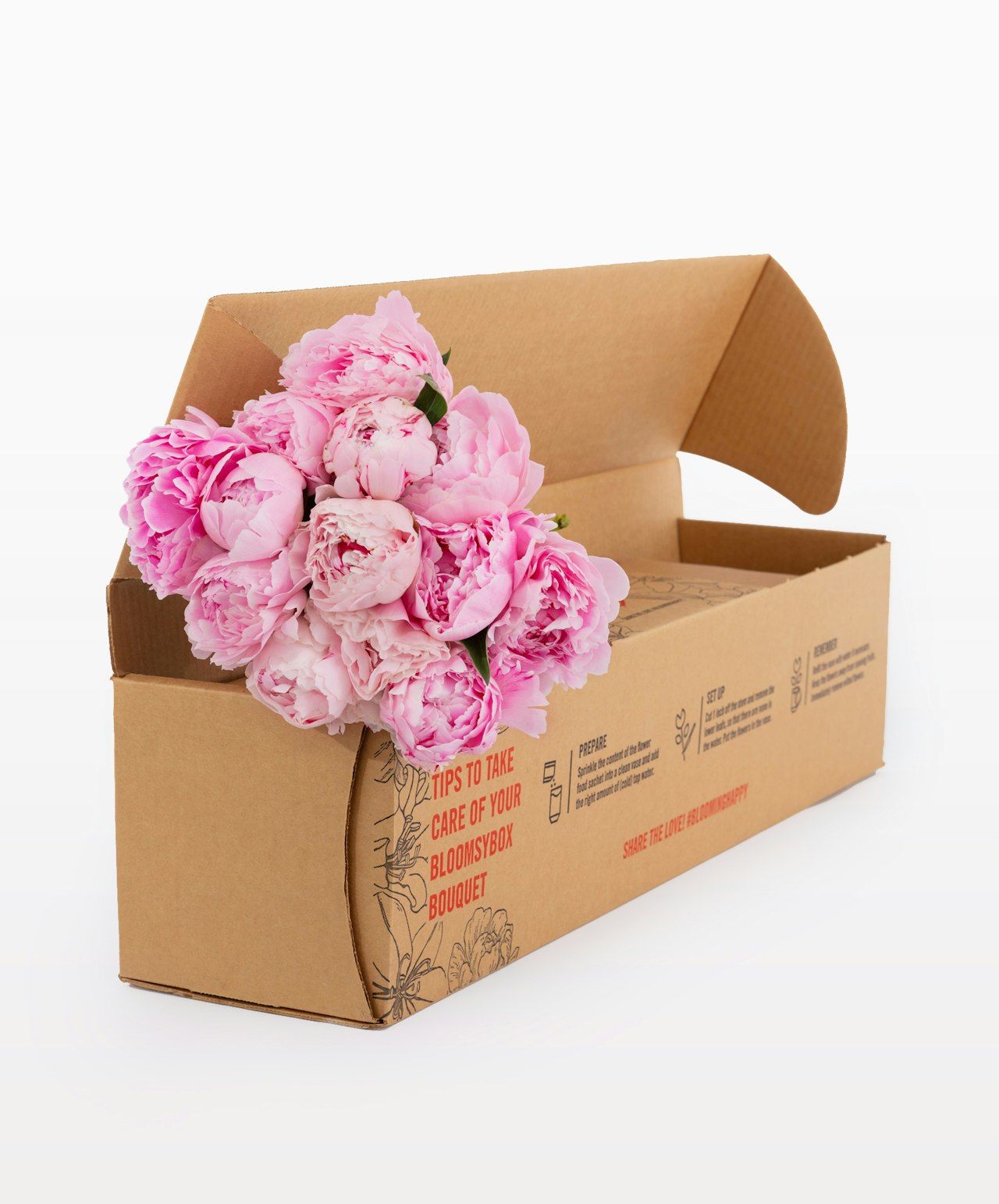 Beautiful pink peonies arranged in a charming package from BloomsyBox, ready to brighten any space.