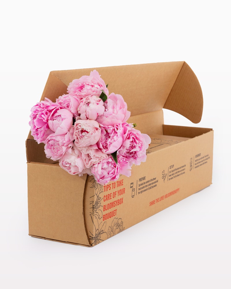 A lush bouquet of pink peonies overflows from an open cardboard box on a white background, highlighting fresh flower delivery and care instructions on the side.