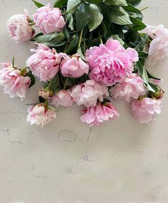 Delicate pink peonies arranged artfully on a marble surface, showcasing their lush blooms.