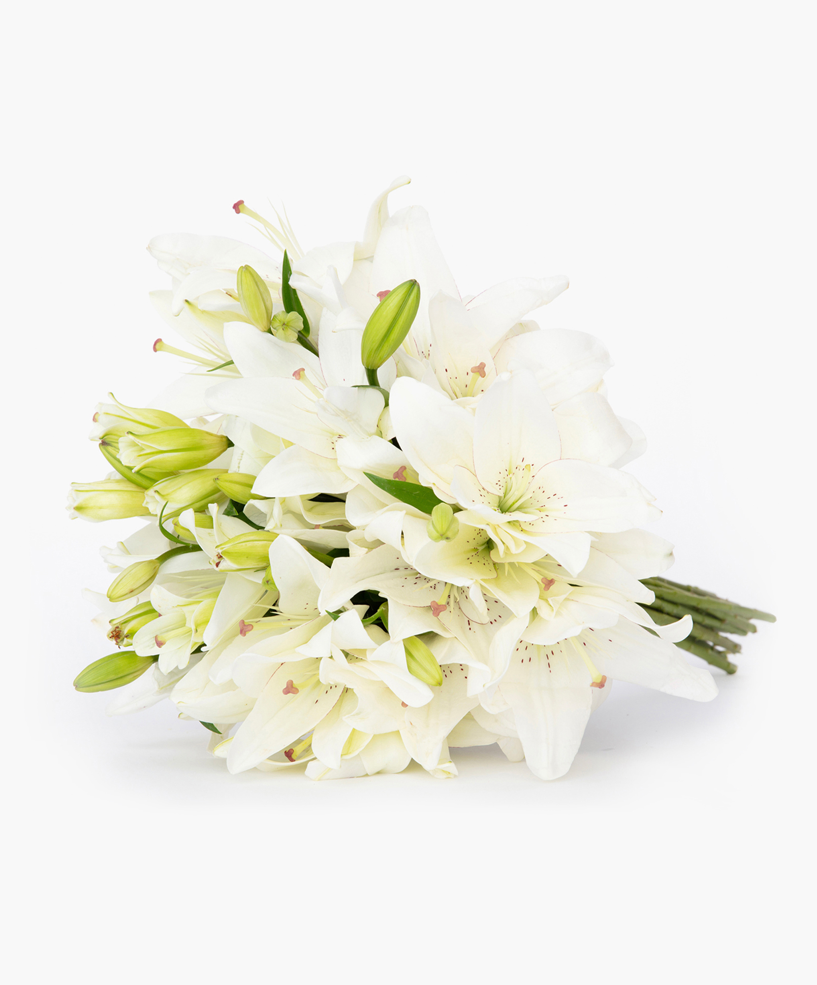 Casablanca White Lilies Order Online At Bloomsybox