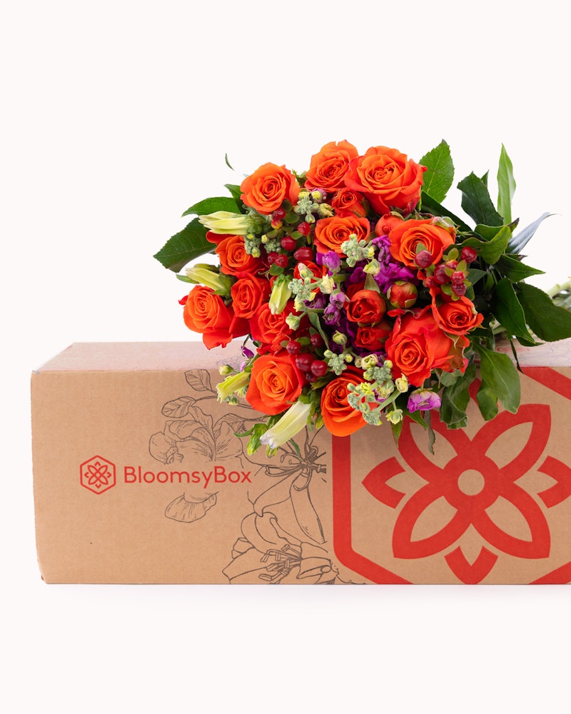 Bright bouquet of orange roses and various flowers emerging from a BloomsyBox, set against a white background, showcasing a fresh floral delivery concept.