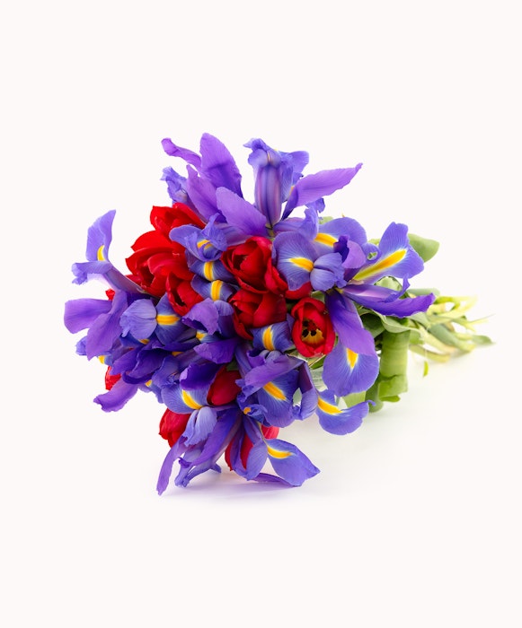 Vibrant bouquet of purple and red flowers with yellow accents, tied together, isolated on a white background, showcasing the beauty of spring florals.