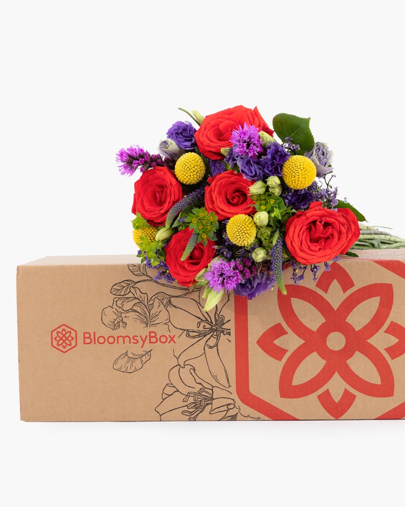 Vibrant bouquet of red roses, purple flowers, and greenery presented beside a BloomsyBox with floral branding, isolated on a white background.