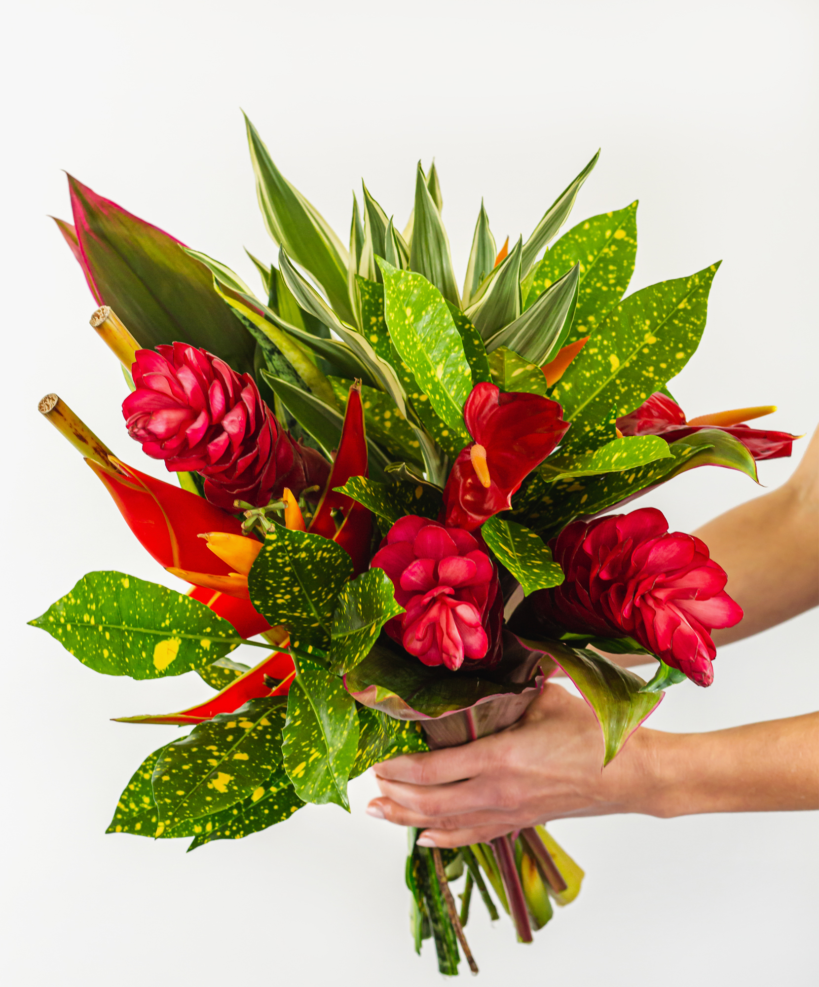 Tropical Flowers & Plants Flower Delivery Plant Delivery