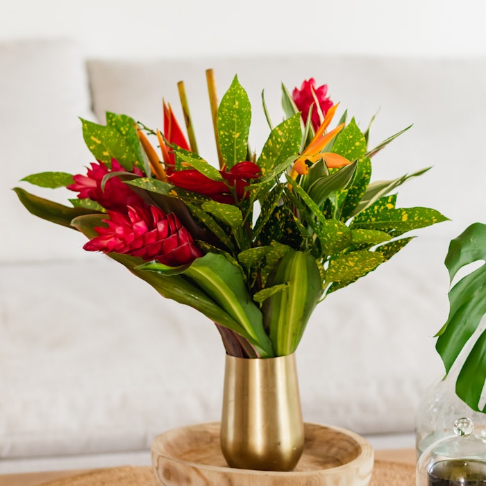 A vibrant bouquet of red flowers and green foliage arranged in a sleek golden vase on a wooden stand, with a cozy white couch in the background.