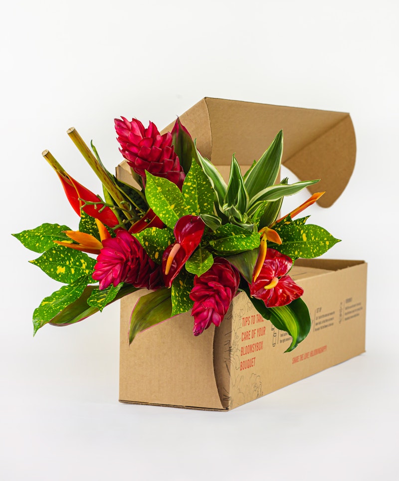 Vibrant bouquet of red and orange tropical flowers with green foliage, packaged in a brown cardboard box with visible instructions, against a white background.