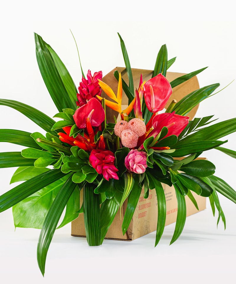 Vibrant tropical flower bouquet with red ginger flowers, pink tulips, green foliage in a brown paper bag against a white background, perfect for a gift or decoration.