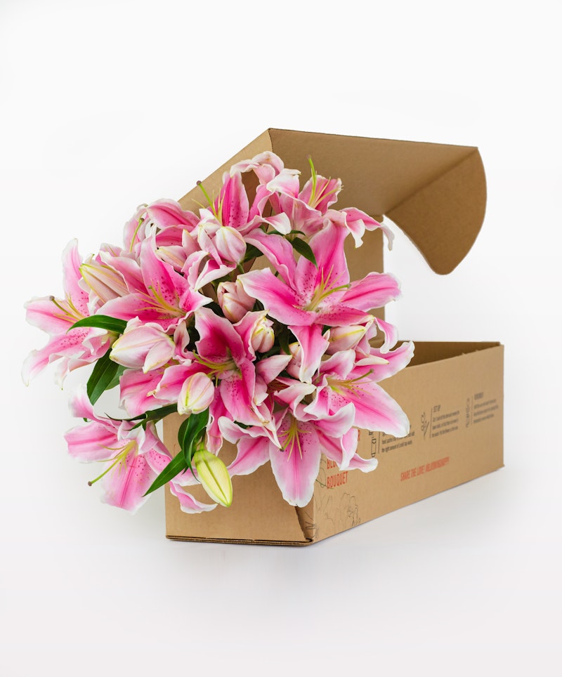 A vibrant bouquet of pink lilies with prominent stamens spilling out of an open cardboard box, on a white background suggesting a flower delivery concept.