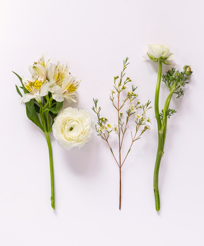 An assortment of delicate flowers, including white alstroemeria, a full bloomed ranunculus, and small green budding branches, artfully arranged on a clean, white background.