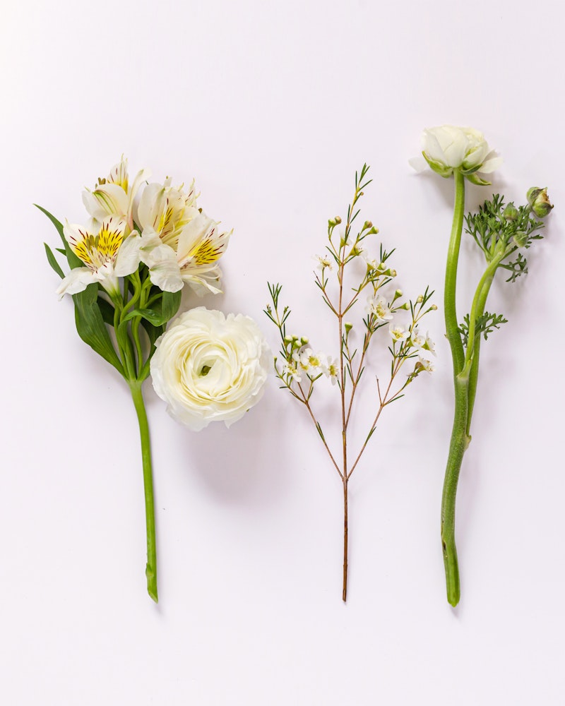 An assortment of delicate flowers, including white alstroemeria, a full bloomed ranunculus, and small green budding branches, artfully arranged on a clean, white background.