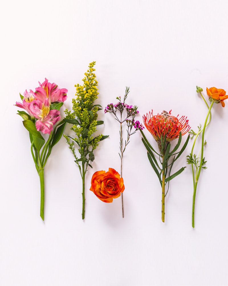 A vibrant collection of assorted flowers with diverse colors and shapes neatly arranged on a clean white background, showcasing a natural and floral aesthetic.