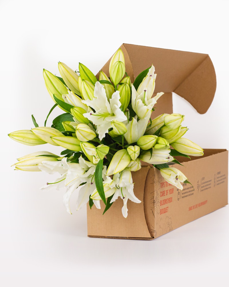 Fresh white lilies with prominent yellow stamens blooming from a brown cardboard box against an isolated white background, symbolizing a flower delivery service.