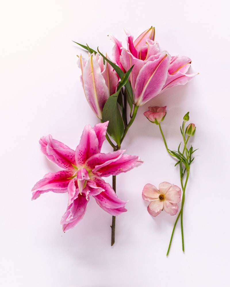 Vibrant pink lilies with dark speckles and lush green leaves, accompanied by a delicate pale flower, arranged elegantly on a white background.