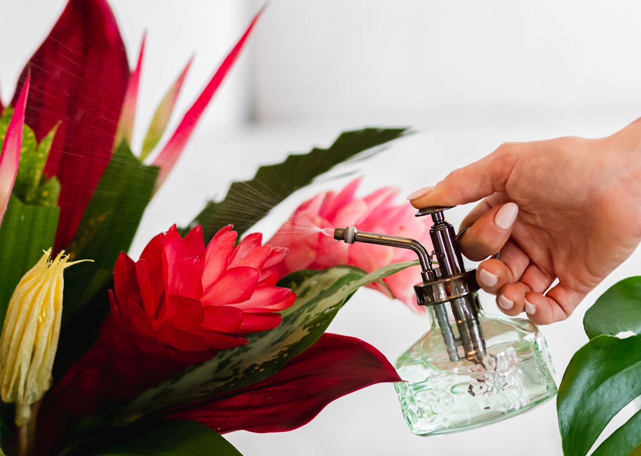 Hand misting vibrant tropical flowers with a stylish spray bottle for care.