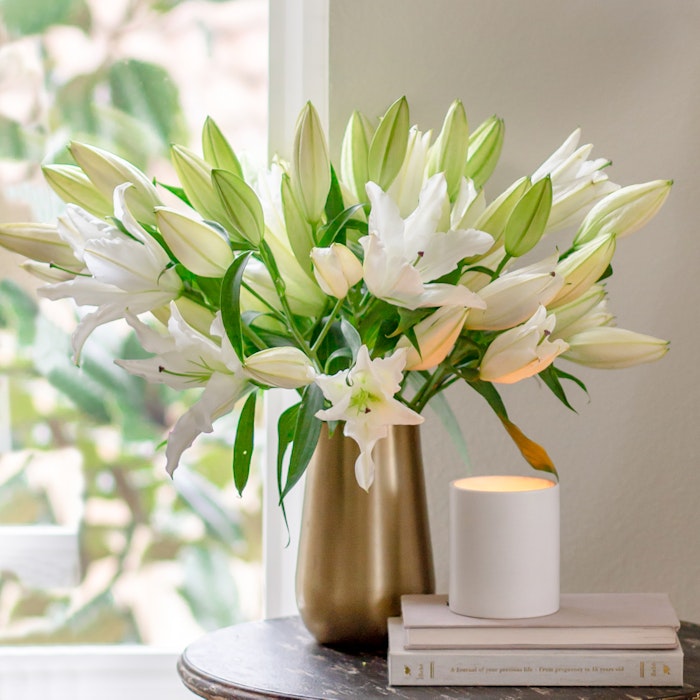 casablanca-white-lilies