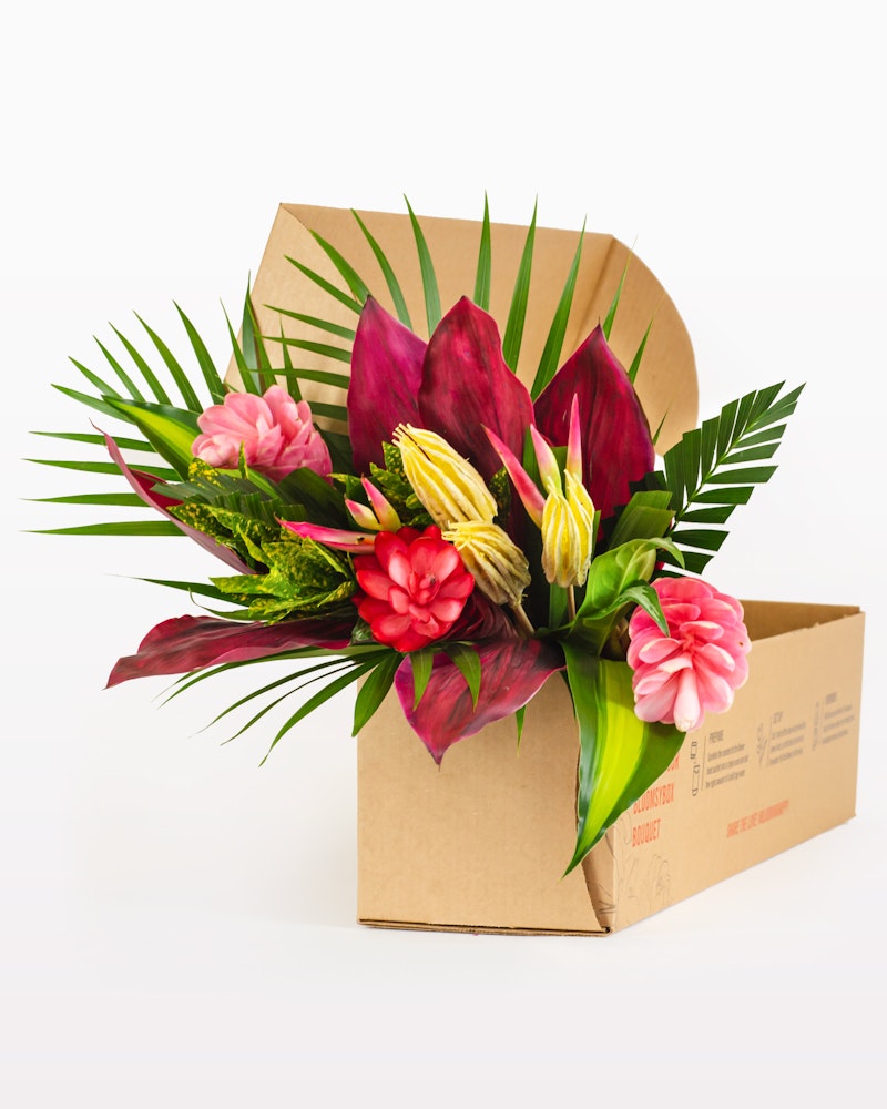 Vibrant tropical flowers and lush green leaves elegantly arranged in an open cardboard box against a clean, white background, ready for delivery.