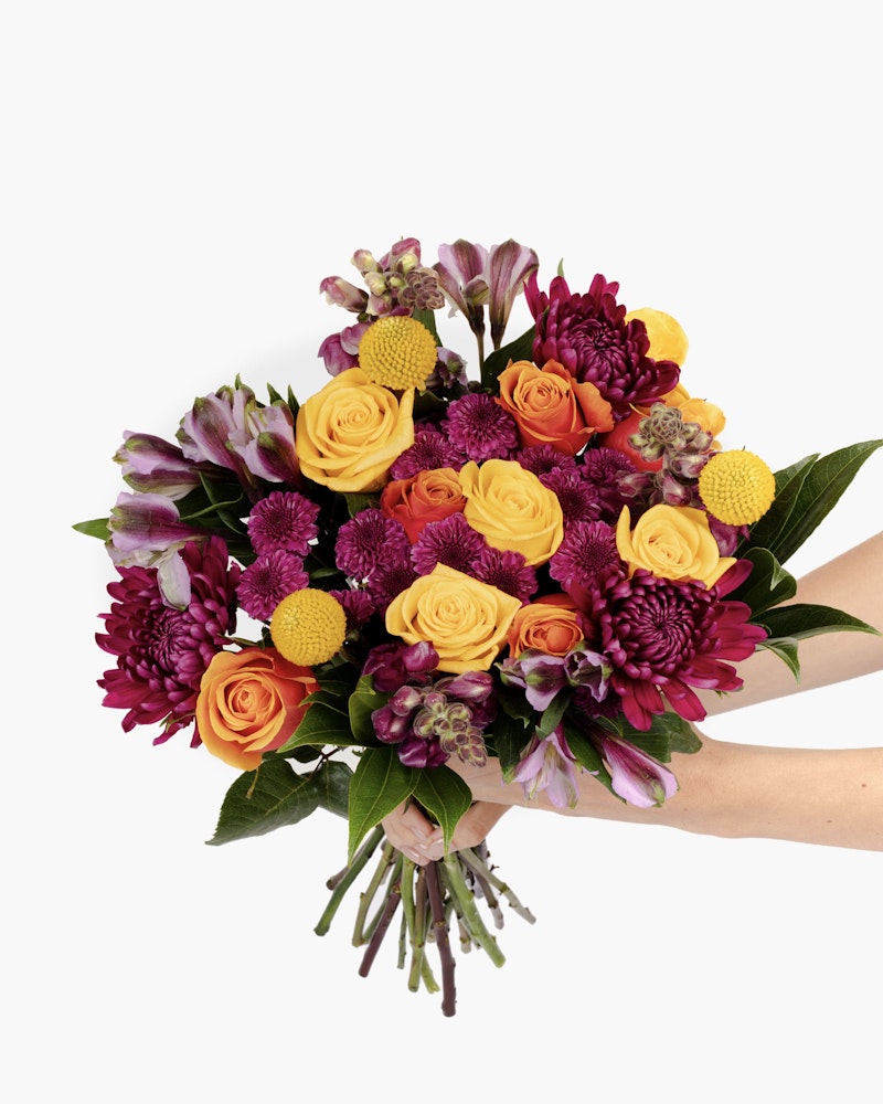 A person holding a vibrant bouquet of flowers with yellow roses, purple blooms, and various pink and orange florals against a white background.