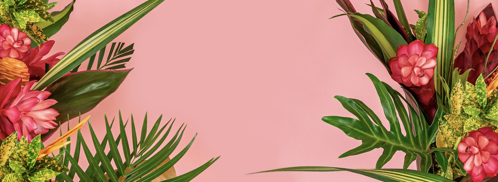 Vibrant floral arrangement featuring pink blooms and lush green foliage against a pastel background.