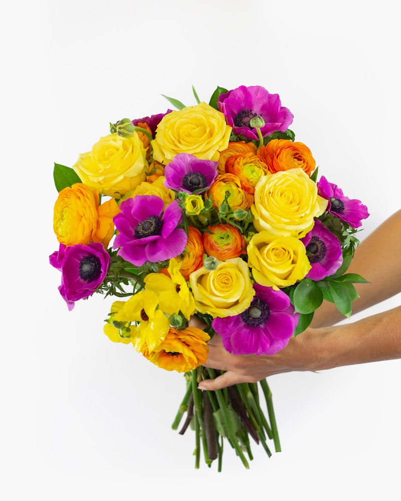 A vibrant bouquet of yellow roses and pink flowers held by two hands against a white background, showcasing a lively and colorful floral arrangement.