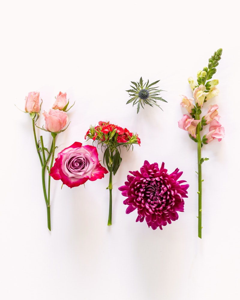 An assortment of colorful flowers including pink roses, a purple chrysanthemum, and a snapdragon, creatively arranged on a white background.