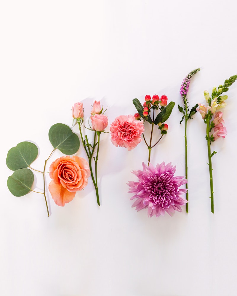 A variety of colorful flowers and green leaves arranged in a line against a white background, including roses, a dahlia, and snapdragons.