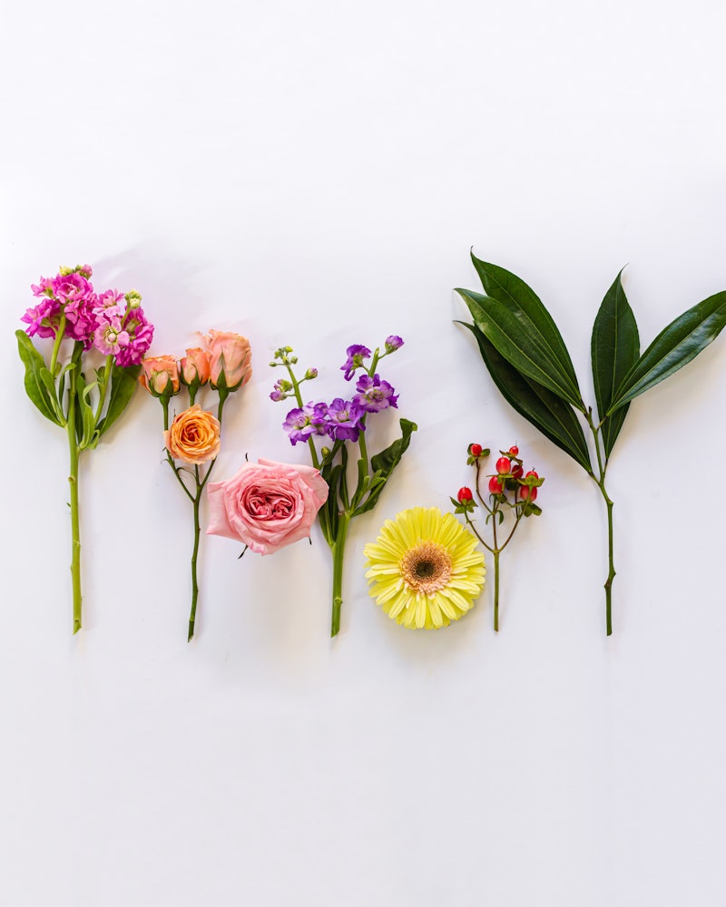 Various fresh flowers and leaves arranged in a row on a white background, including pink roses, gerbera daisy, and lush greenery.