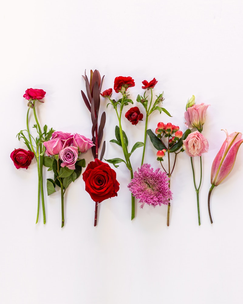 A colorful array of various flowers neatly arranged in a row against a white background, featuring red roses, pink blooms, and exotic purple and pink petals.