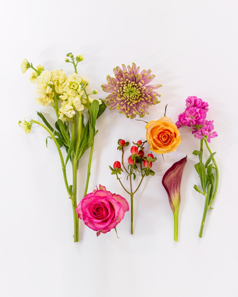 A variety of fresh flowers, including an orange rose, pink roses, red berries, and a purple bloom, artistically laid out on a white background.