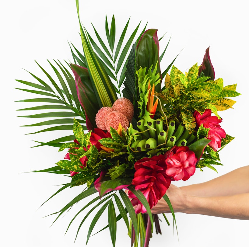 Colorful tropical bouquet held against a white background, featuring vibrant green foliage, red flowers, and exotic textured fruits with a human hand visible.