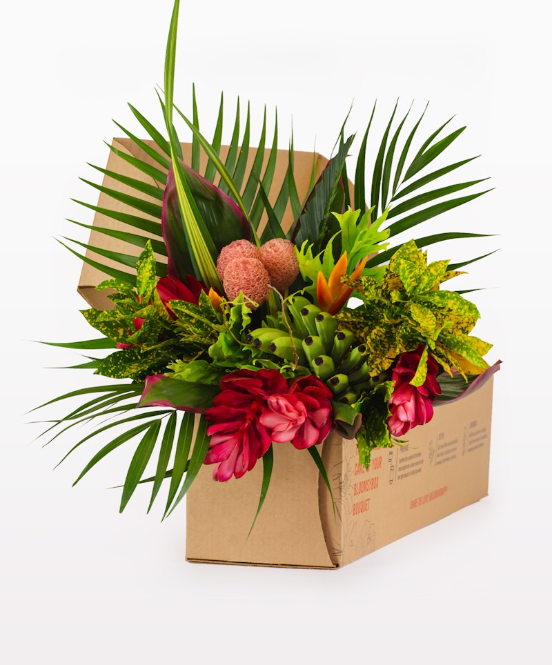 Vibrant tropical bouquet with red flowers, green leaves, and exotic blooms emerging from a brown cardboard box, isolated on a white background, perfect for a gift or decoration.