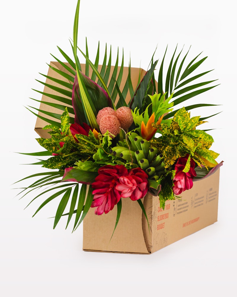Vibrant tropical bouquet with red flowers, green leaves, and exotic blooms emerging from a brown cardboard box, isolated on a white background, perfect for a gift or decoration.