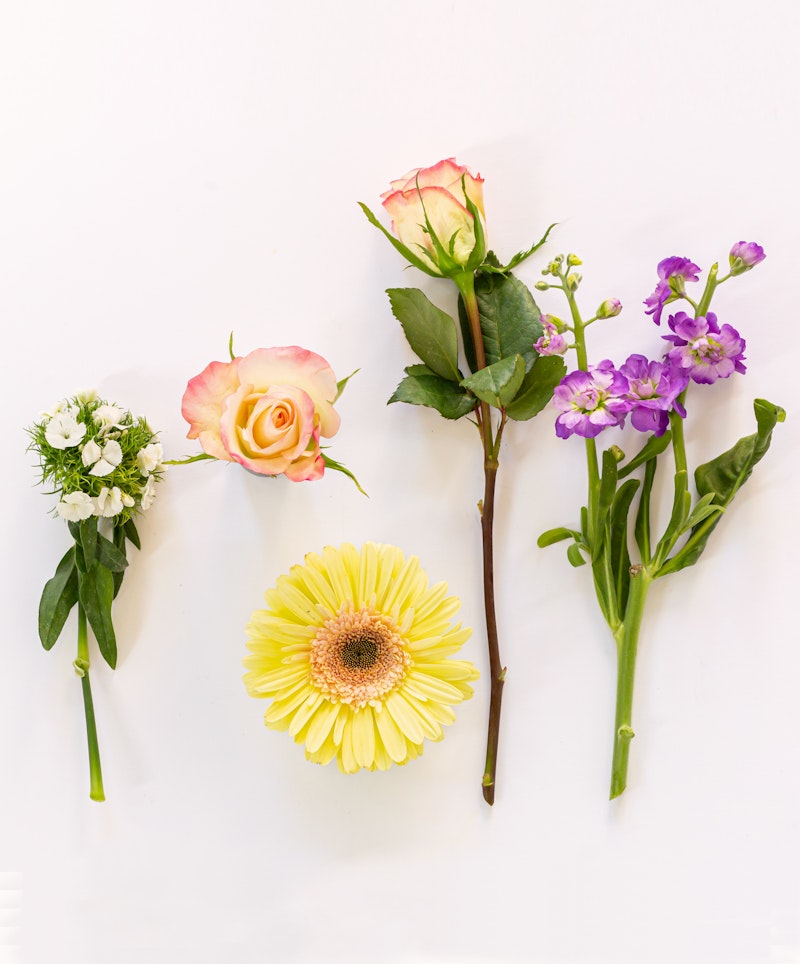 Assortment of fresh blooms on a white background, featuring a pink-tipped rose, a sunny yellow gerbera, delicate white posies, and vibrant purple flowers.
