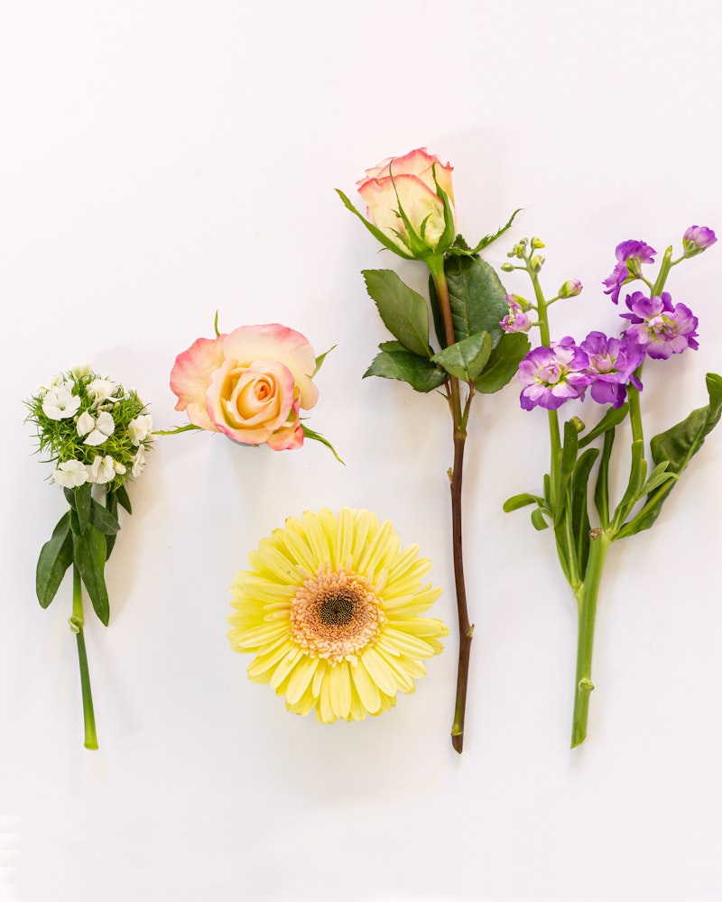 Assortment of fresh blooms on a white background, featuring a pink-tipped rose, a sunny yellow gerbera, delicate white posies, and vibrant purple flowers.