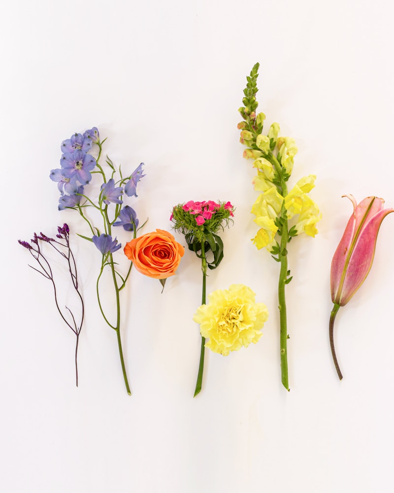 A colorful array of various flowers, including blue, pink, yellow, and orange blooms, elegantly arranged on a bright white background.