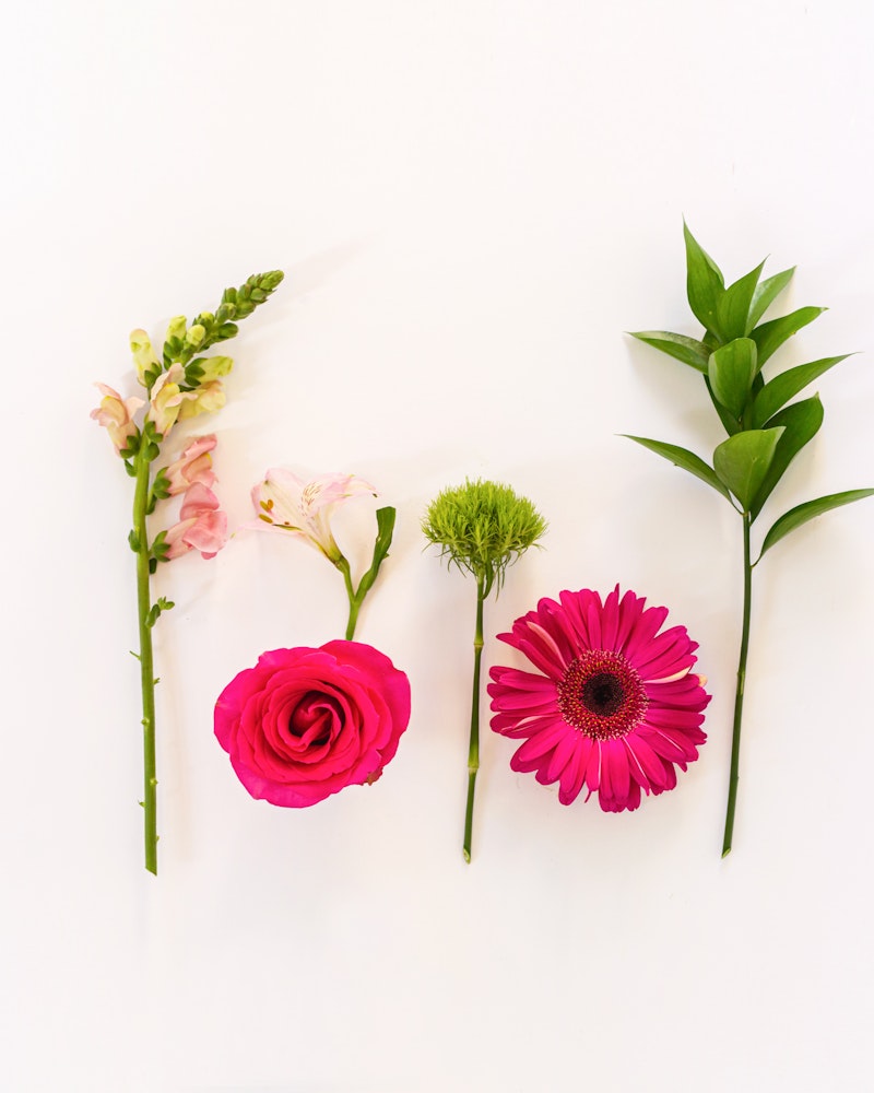 A colorful variety of five fresh flowers including a pink snapdragon, white alstroemeria, green dianthus, red rose, and a pink gerbera daisy, arranged neatly against a white background.