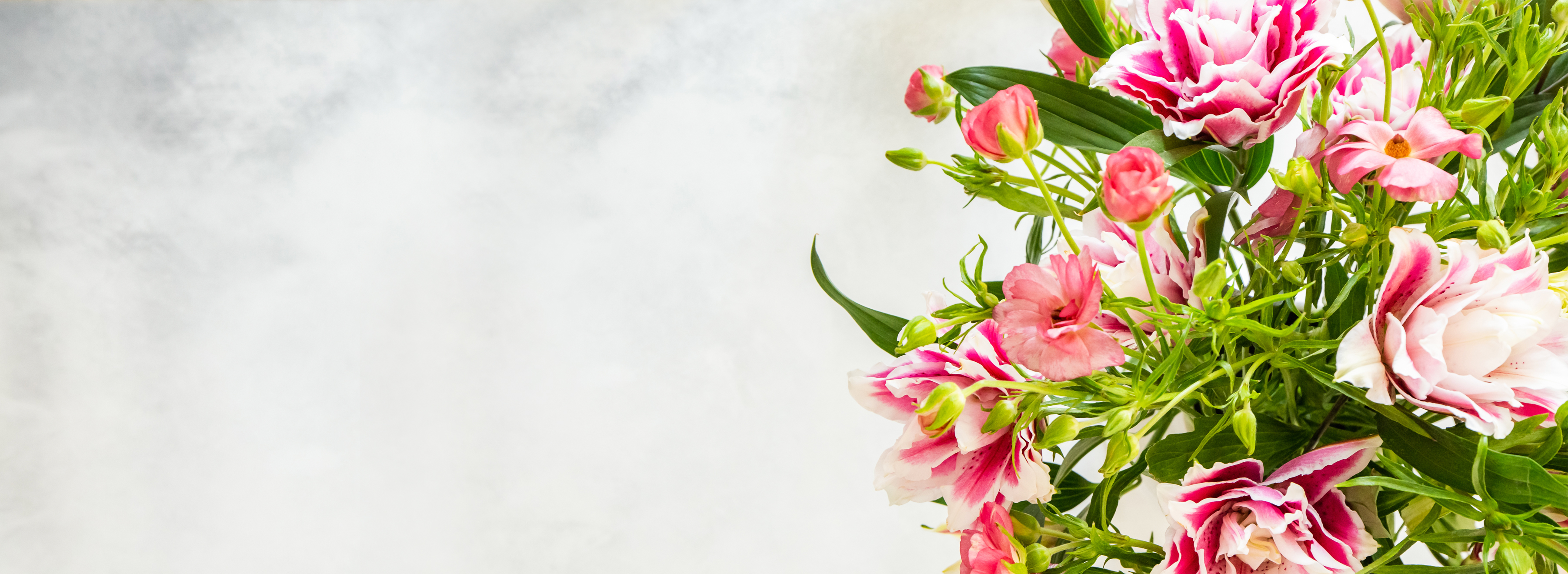 Delicate pink and white flowers arranged artistically, enhancing any space with elegance.