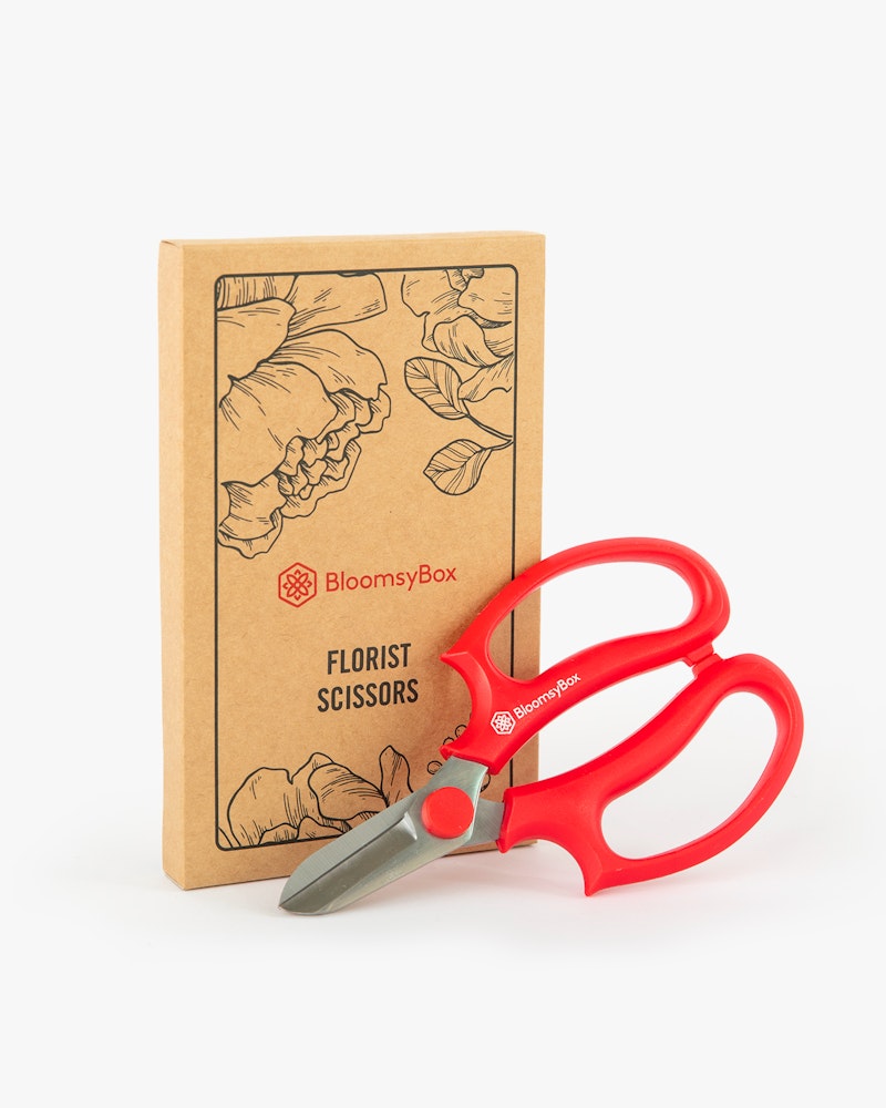 Red-handled florist scissors next to a brown BloomsyBox package with floral illustrations on a white background, suggesting gardening or floral arrangement tools.